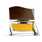 BRIONI Brioni Eau de Toilette